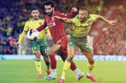 开云体育在线-包含诺里奇客场逼平对手，保持不败表现的词条