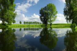 开云体育登录-加克波刷新纪录之夜，乌拉圭对阵墨西哥的战术博弈与历史性突破