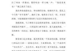 开云体育APP下载-足球比赛中回溯王者风采，场场必胜的力量展现