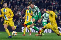 开云下载-塞维利亚击败对手，保持不败势头的简单介绍