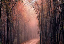 开云体育官网-强队逐鹿：火爆足球战场开战